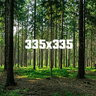 Webmaister teszt áruház