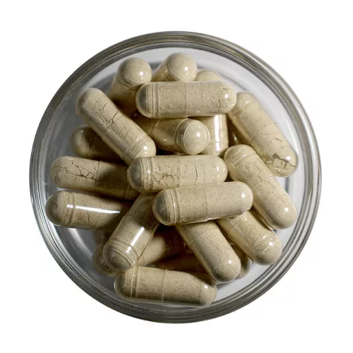 LXR Echinacea +Béta-Glükán +D-Vitamin Komplex 60x