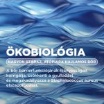 Bioderma Atoderm Intensiv moussant gel 1L