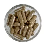 LXR Vas+ Folát Retard Komplex 60x