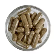 LXR Vas+ Folát Retard Komplex 60x