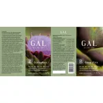GAL B-komplex kapszula 60x