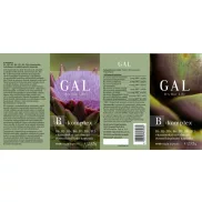 GAL B-komplex kapszula 60x