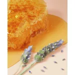 Nuxe Reve de Miel mézes ajakápoló 10ml