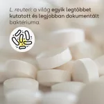BioGaia Gastrus Pure Lactobacillus reuteri kapszula 60x